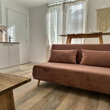 Le Petit Evali - Wifi - Centre Apartment อัลบี ภายนอก รูปภาพ